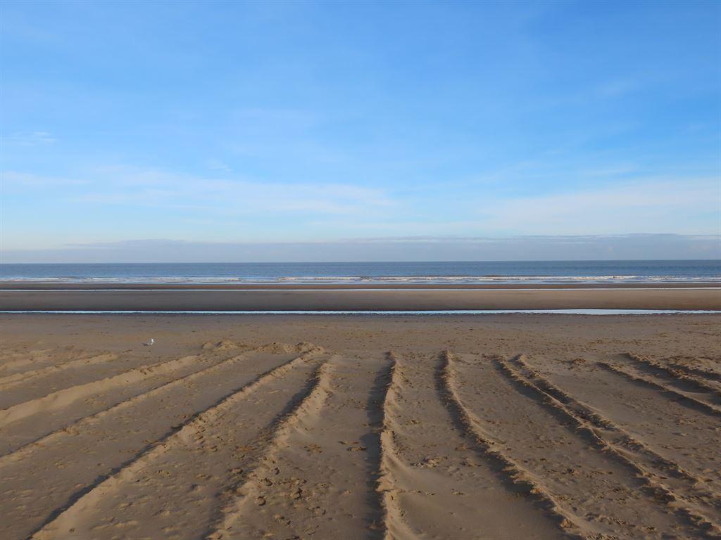 sea