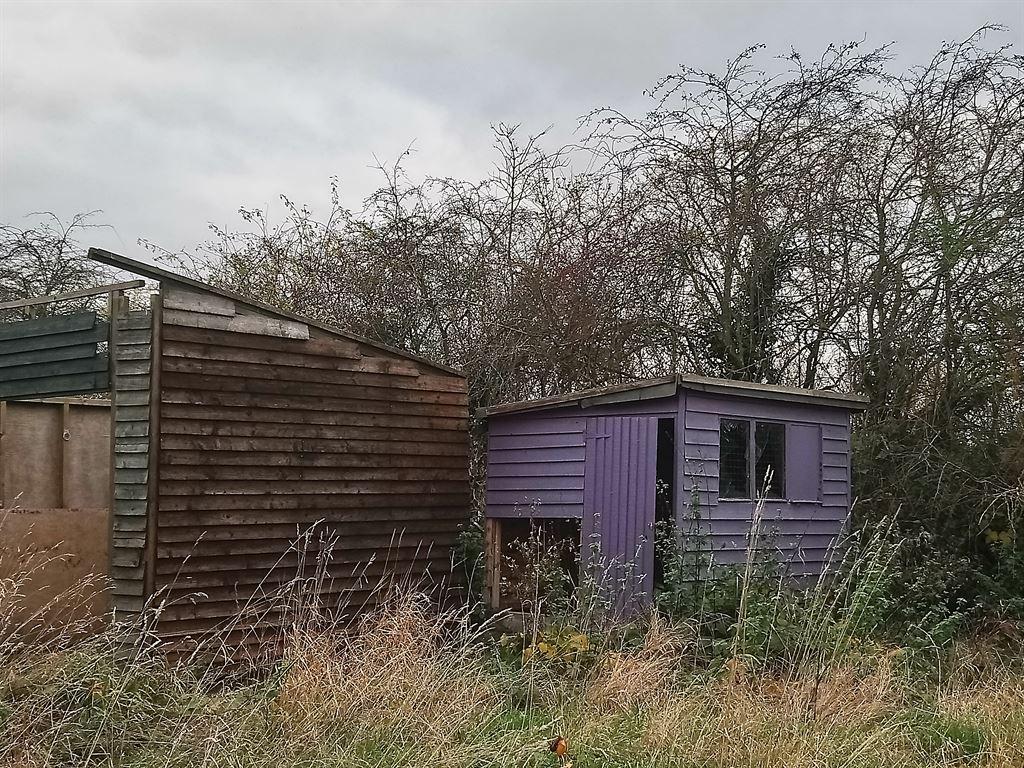 hut