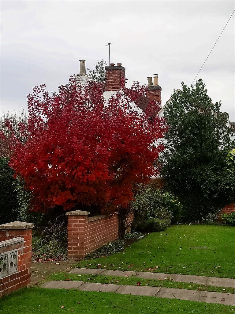 colour2