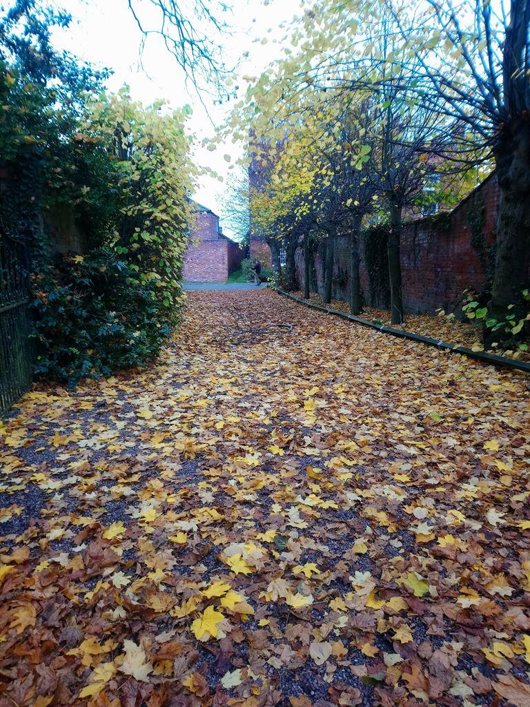 colour6