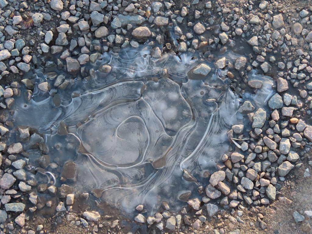 puddle1