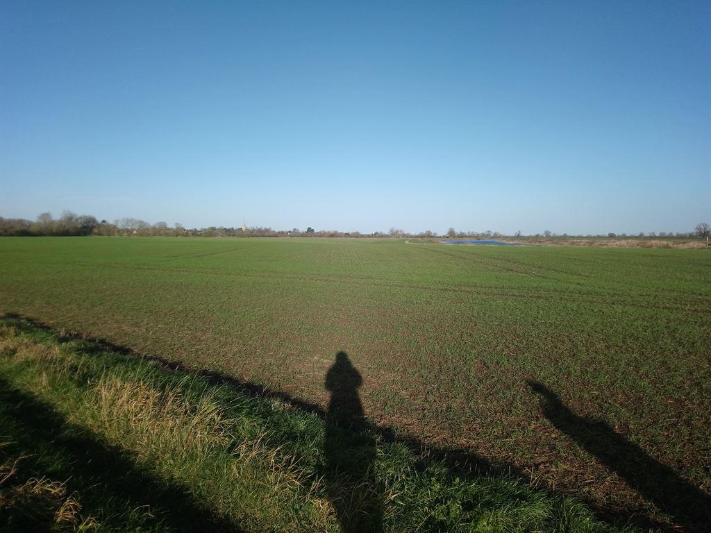shadows