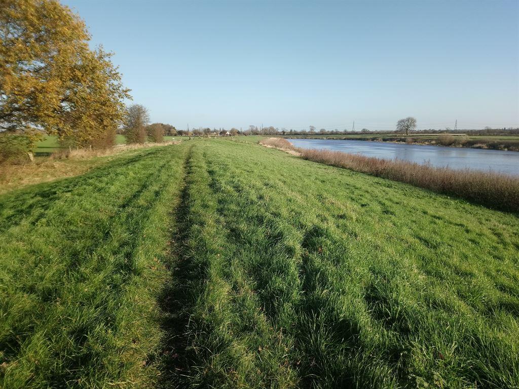 riverside
