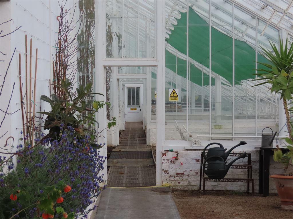 greenhouse2