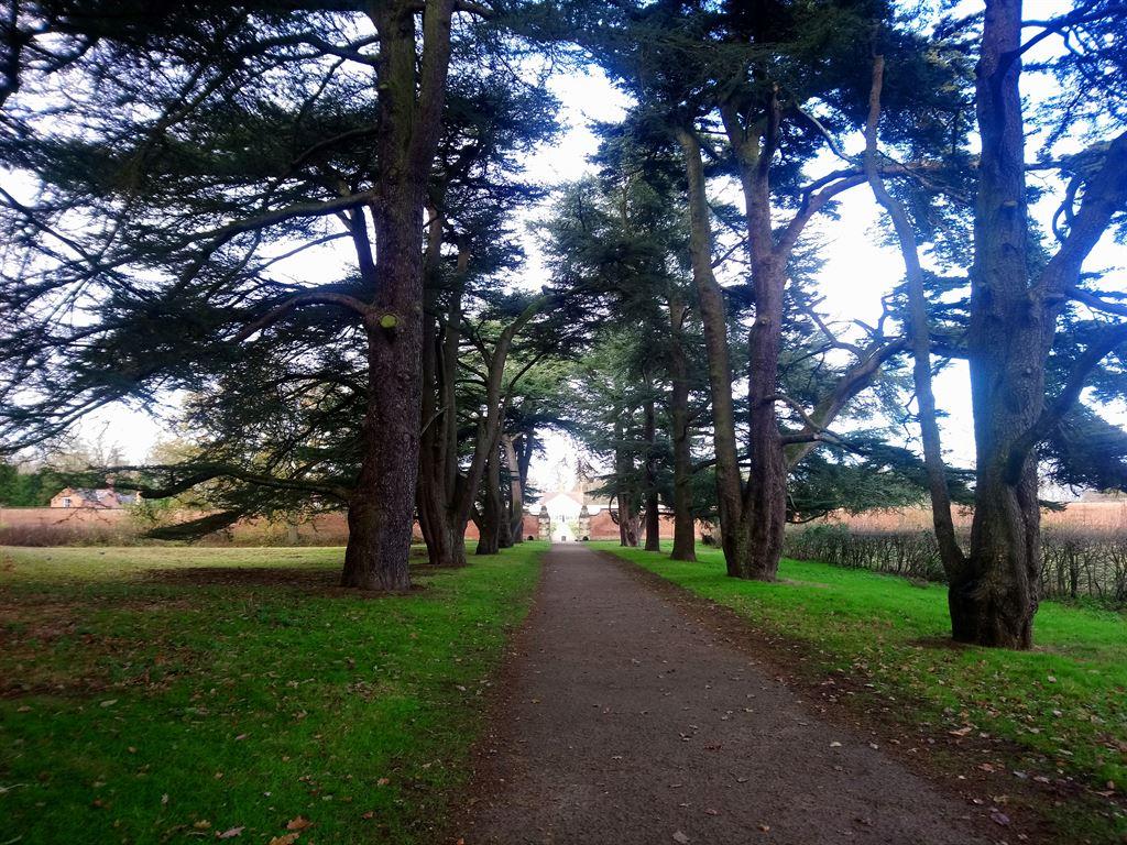 avenue