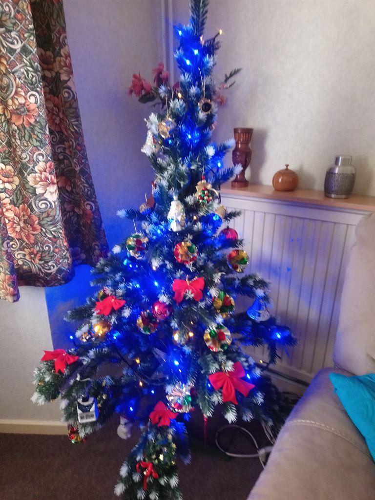 tree2