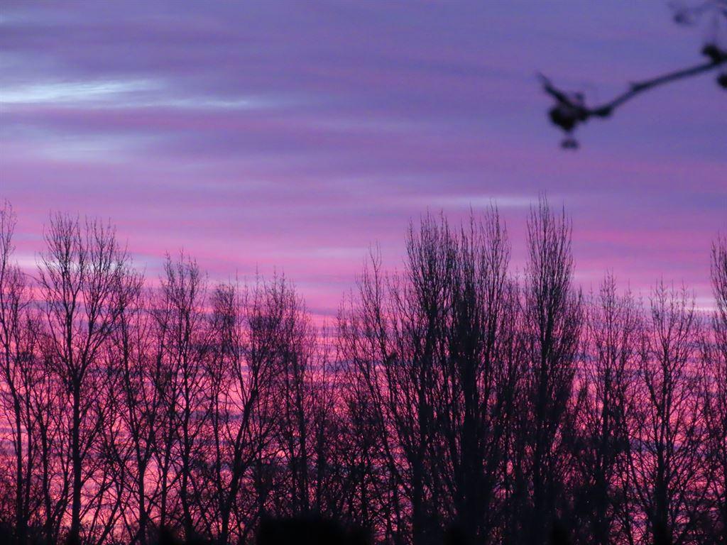 sunrise2