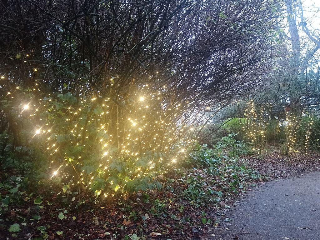 lights1