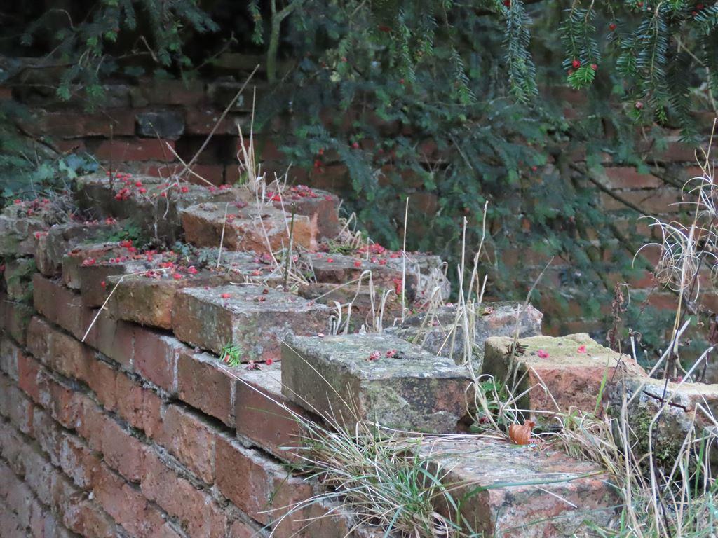bricks