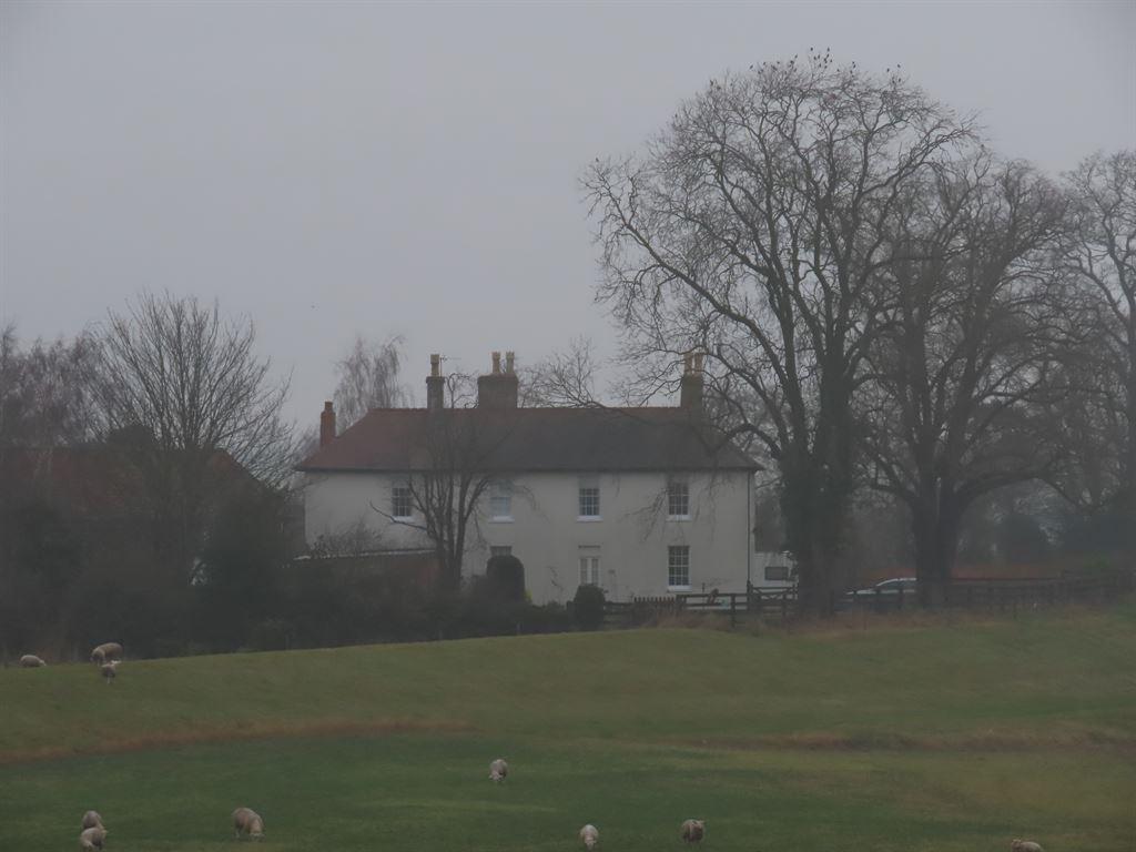 house&sheep