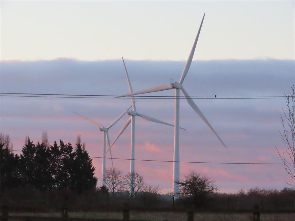 windmills