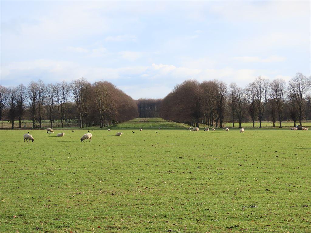 park1