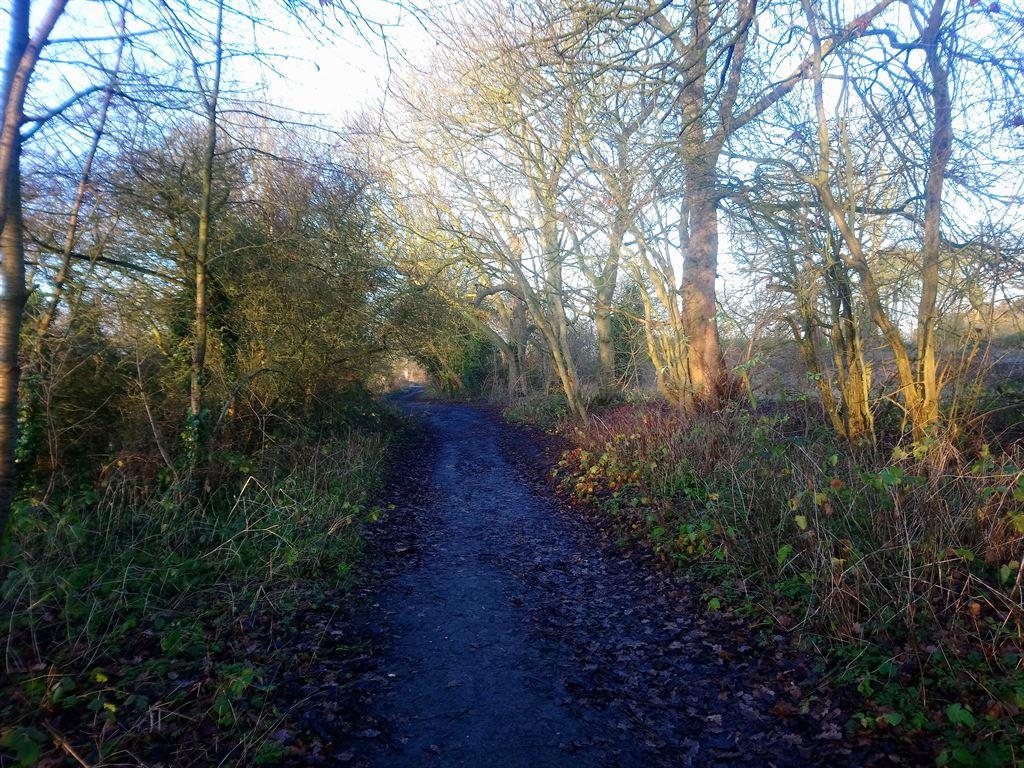 claylane