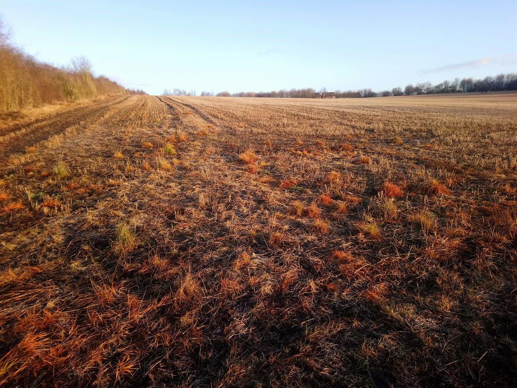 field