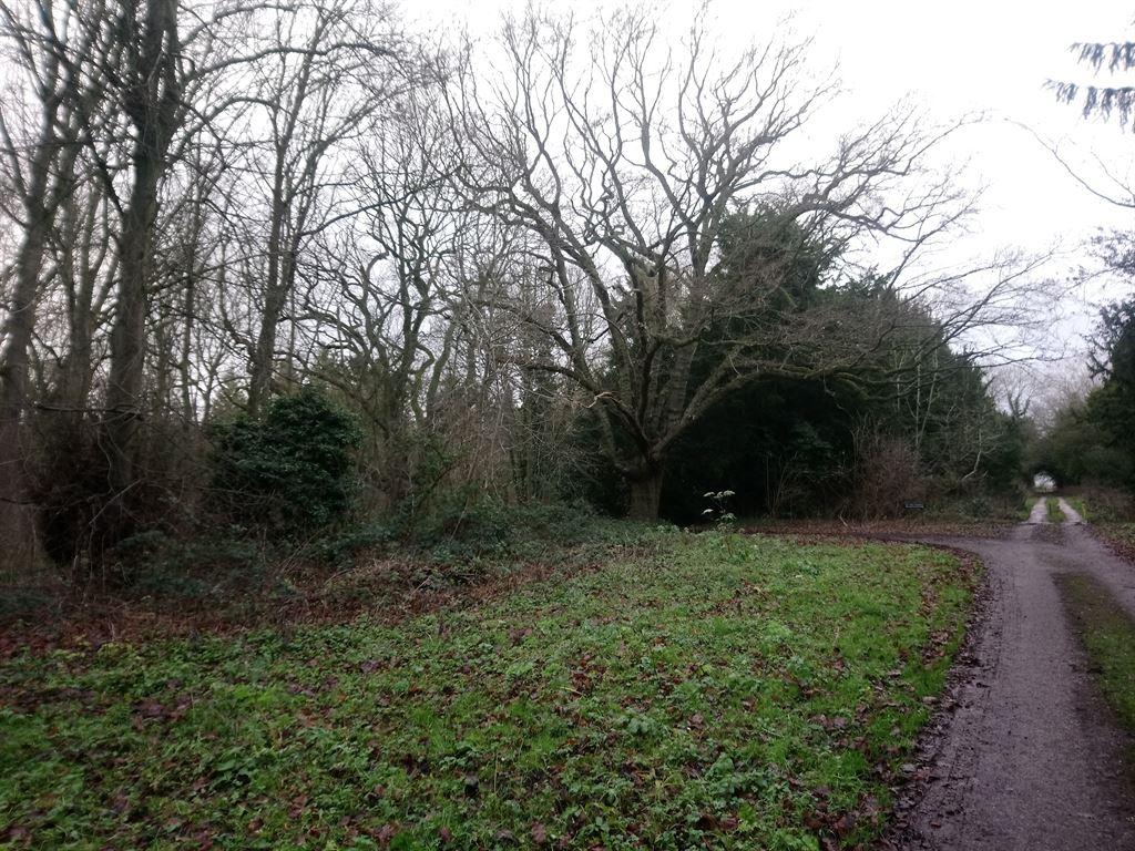 track