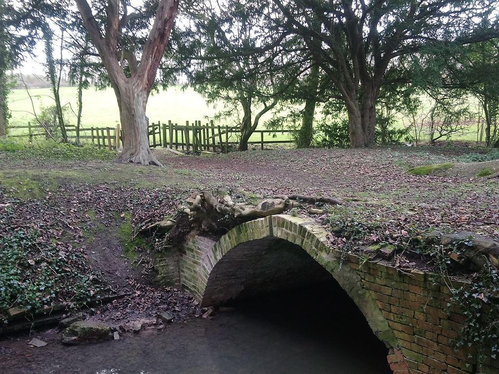bridge