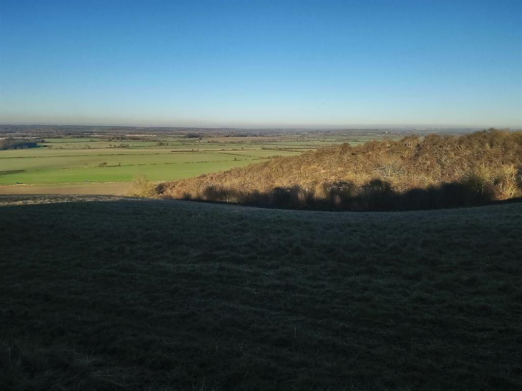 view4