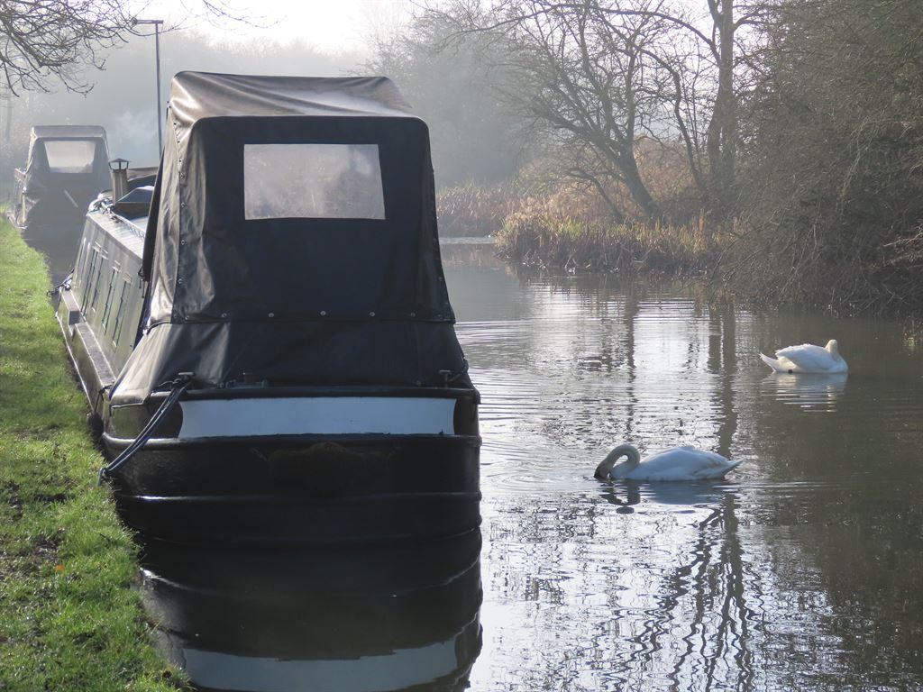 swans&narrowboat