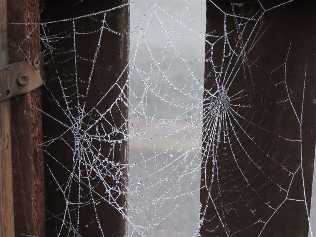web3