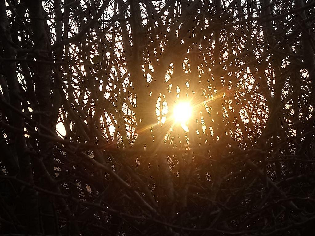 sunrise