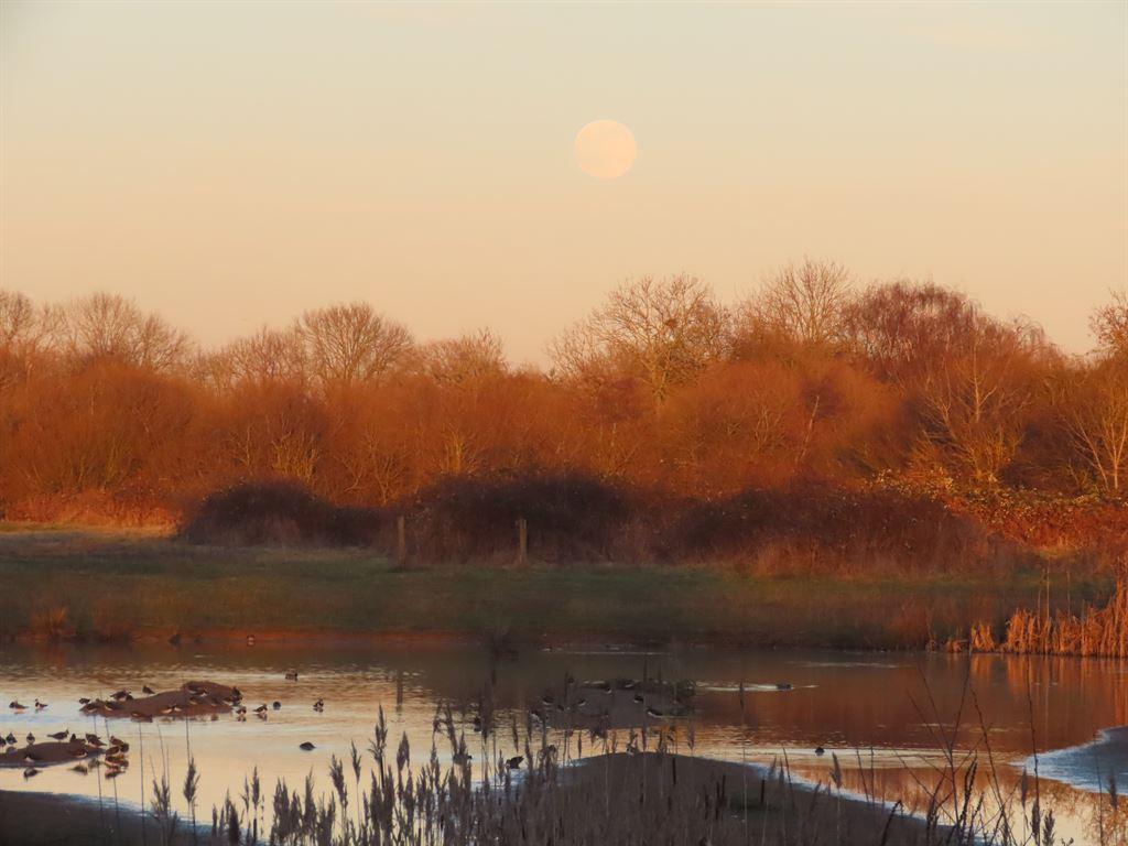fullmoon