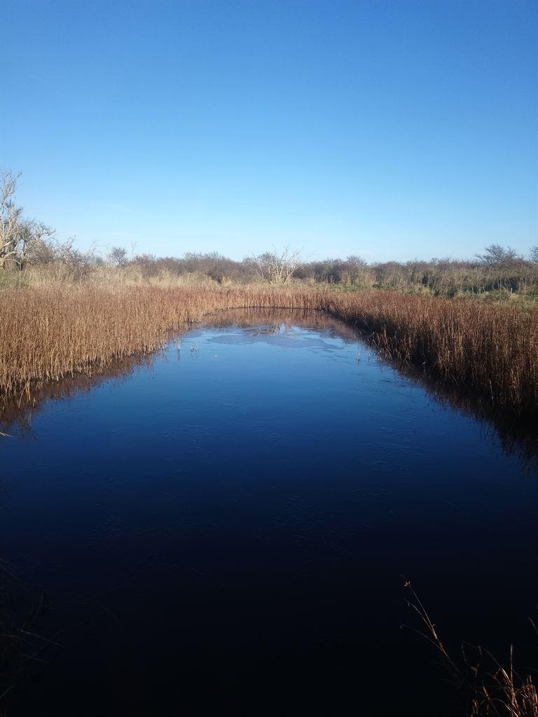 pond1