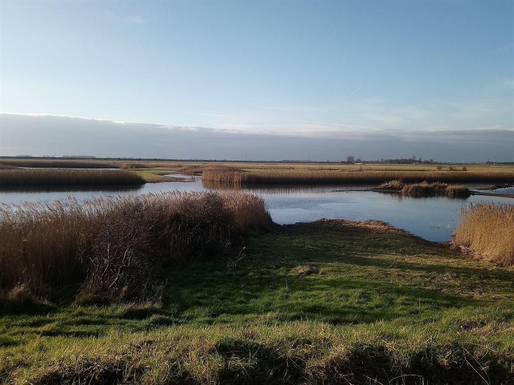 pond3