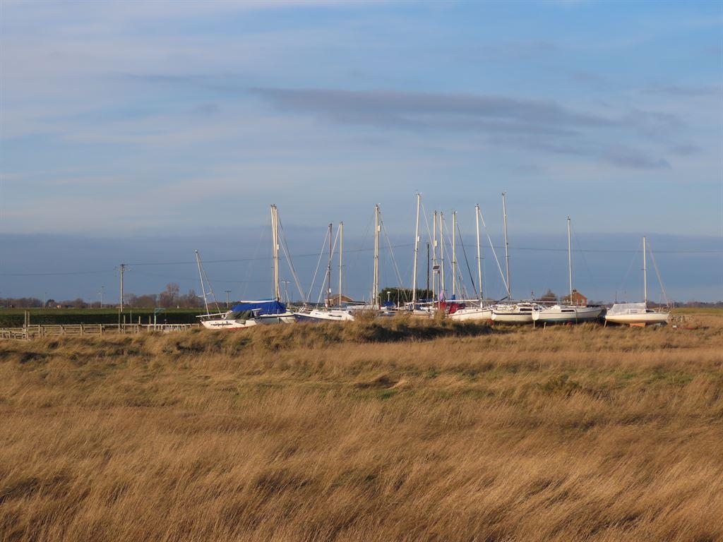 boats