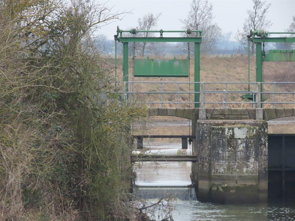 sluice