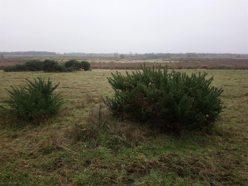 airfield