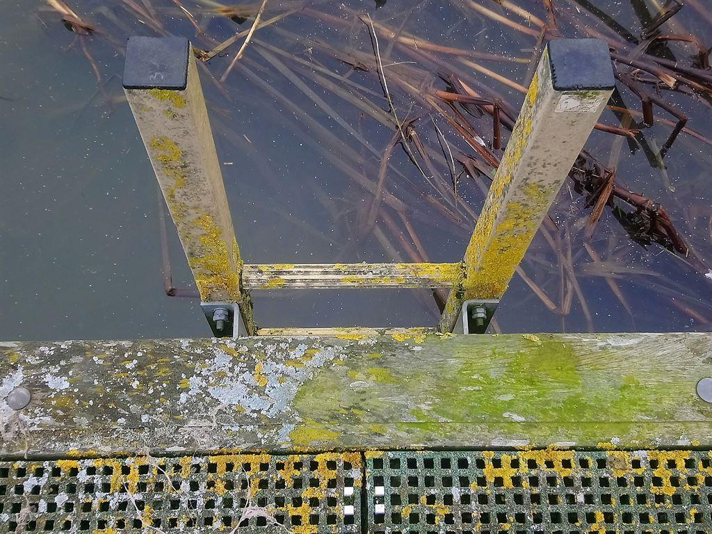 ladder