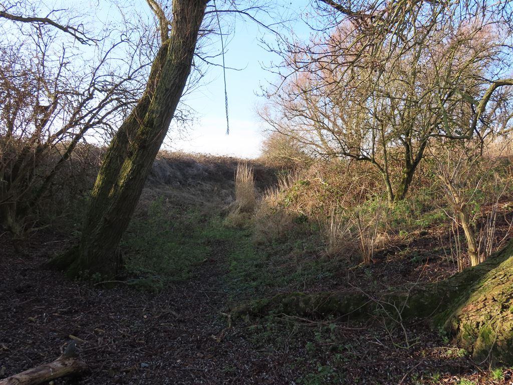 castle3