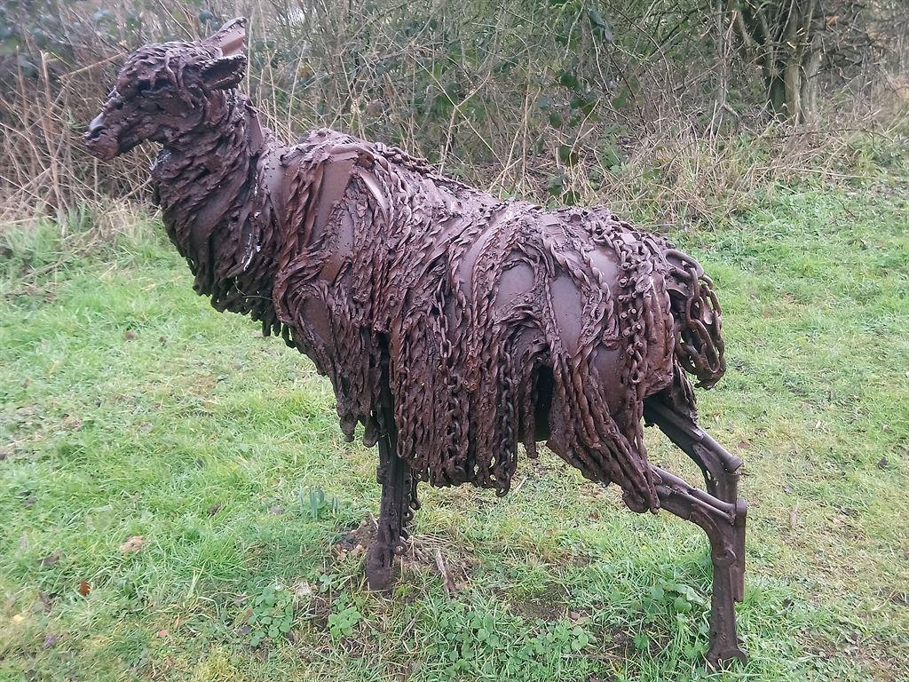 sheep2