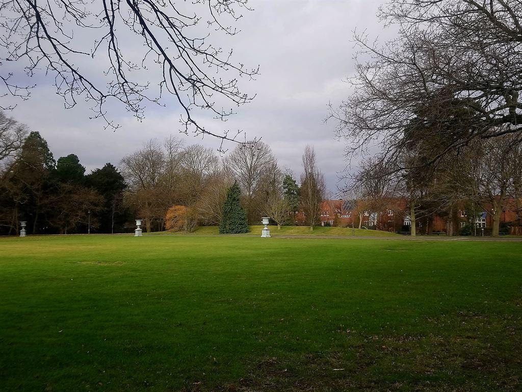 grounds