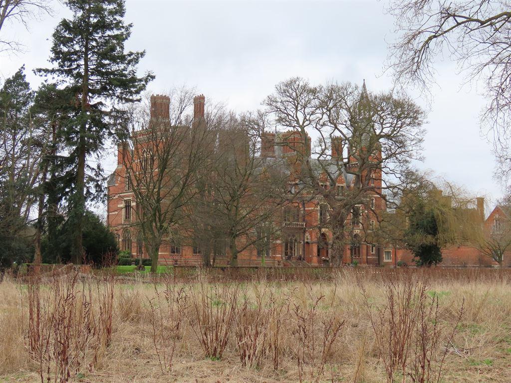 hallthroughtrees