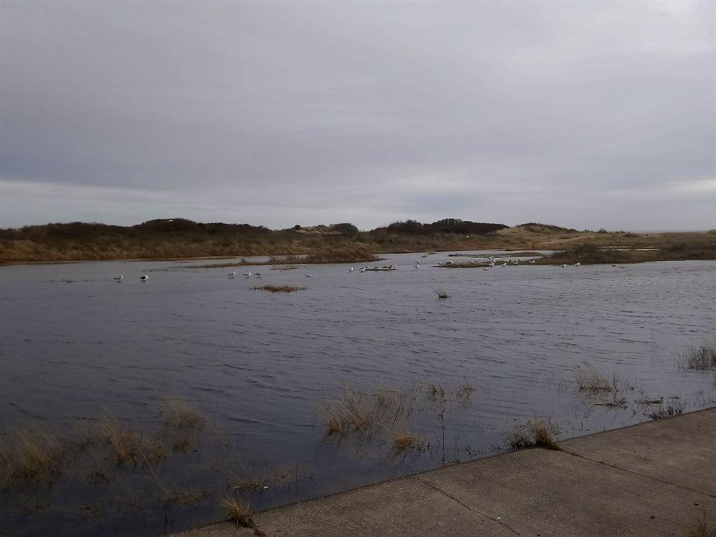 lagoon