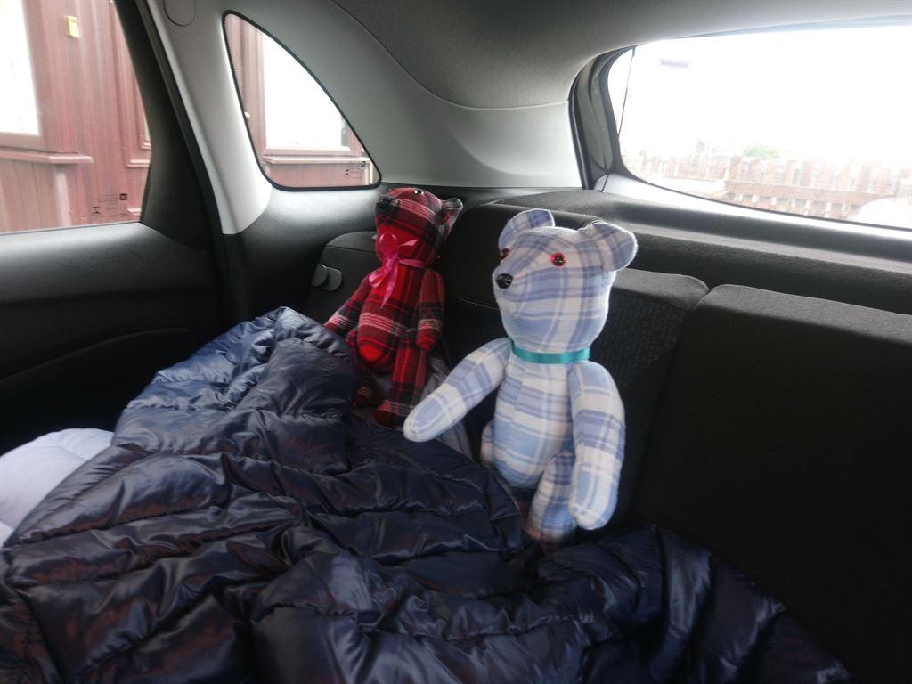 bears