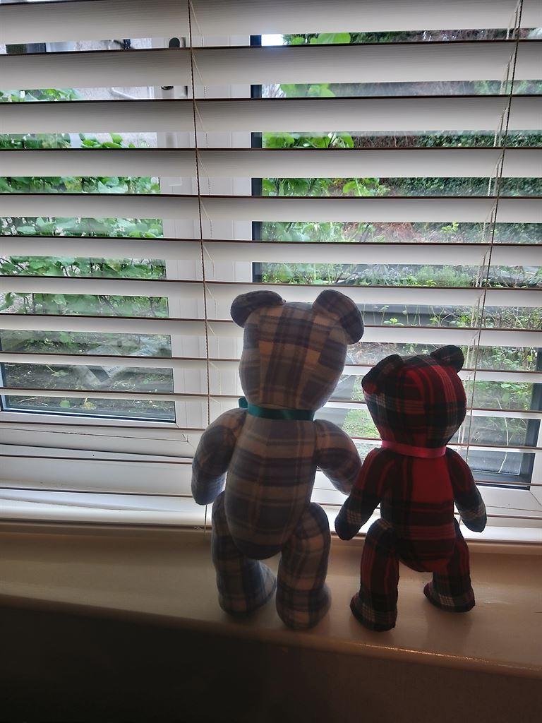 bears