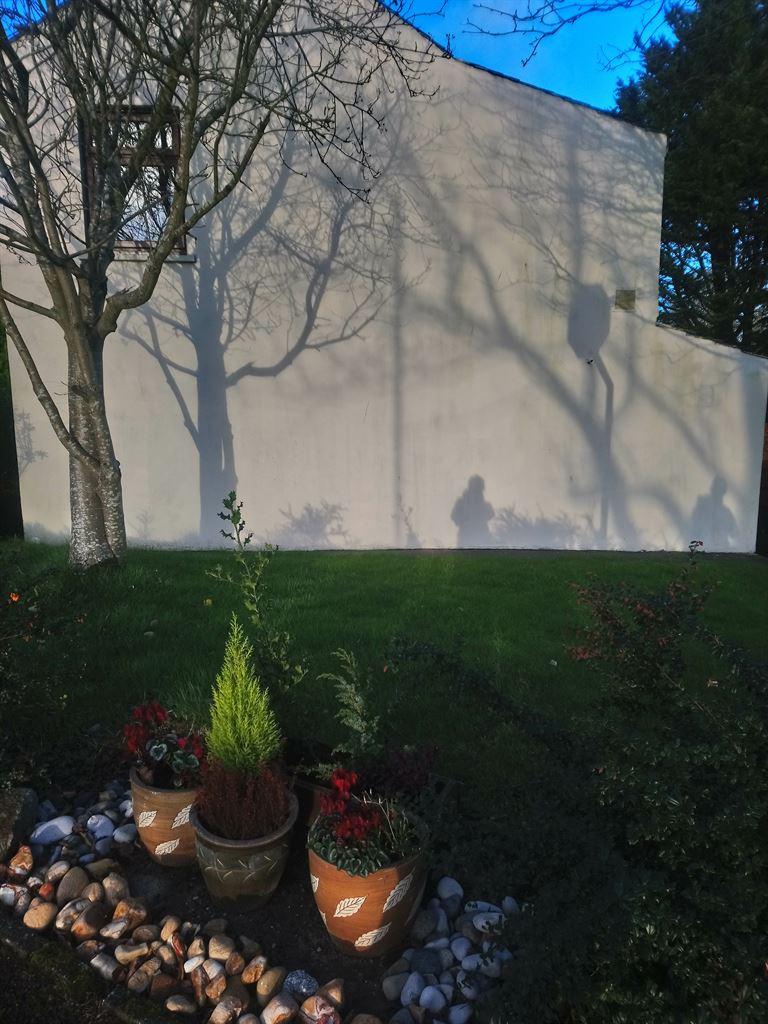 shadows