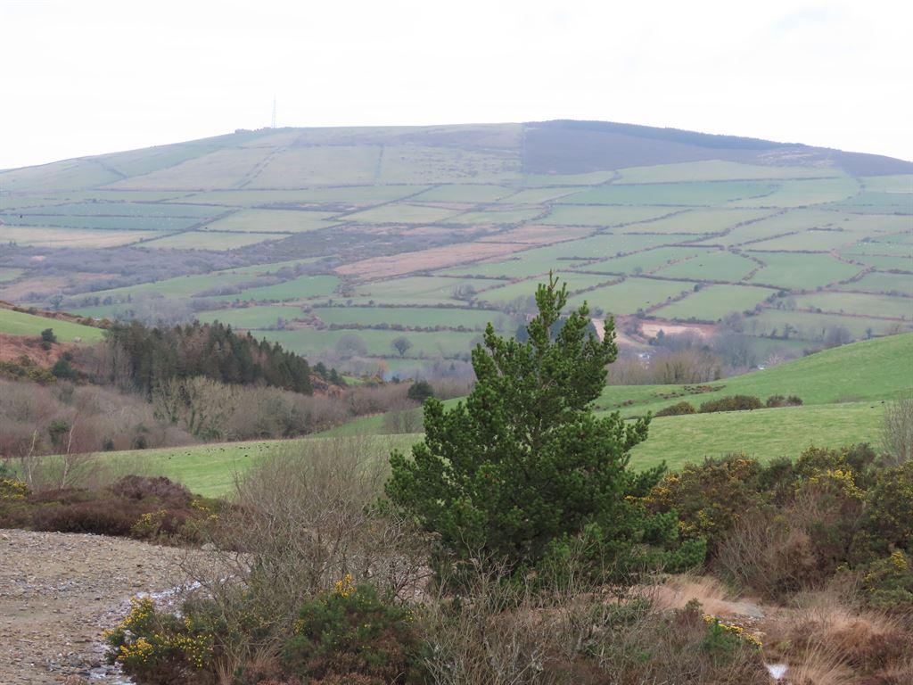 minesview
