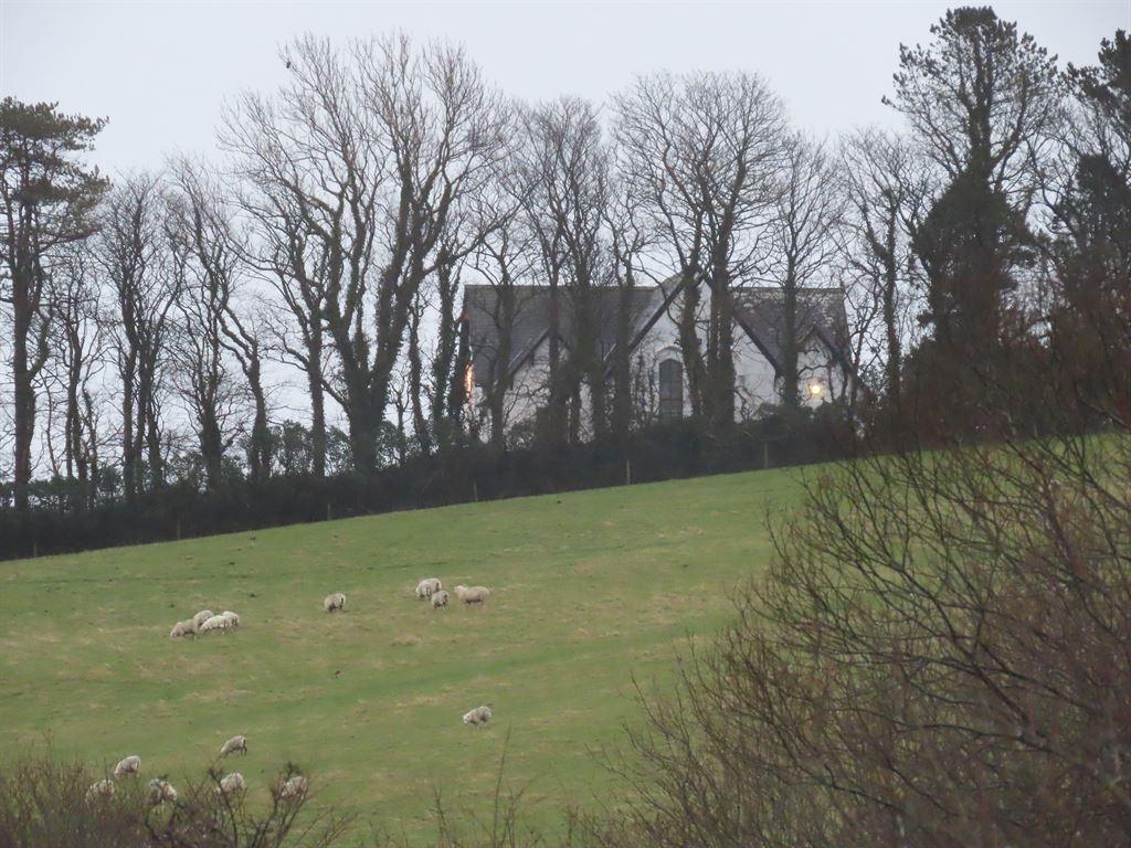 building&sheep