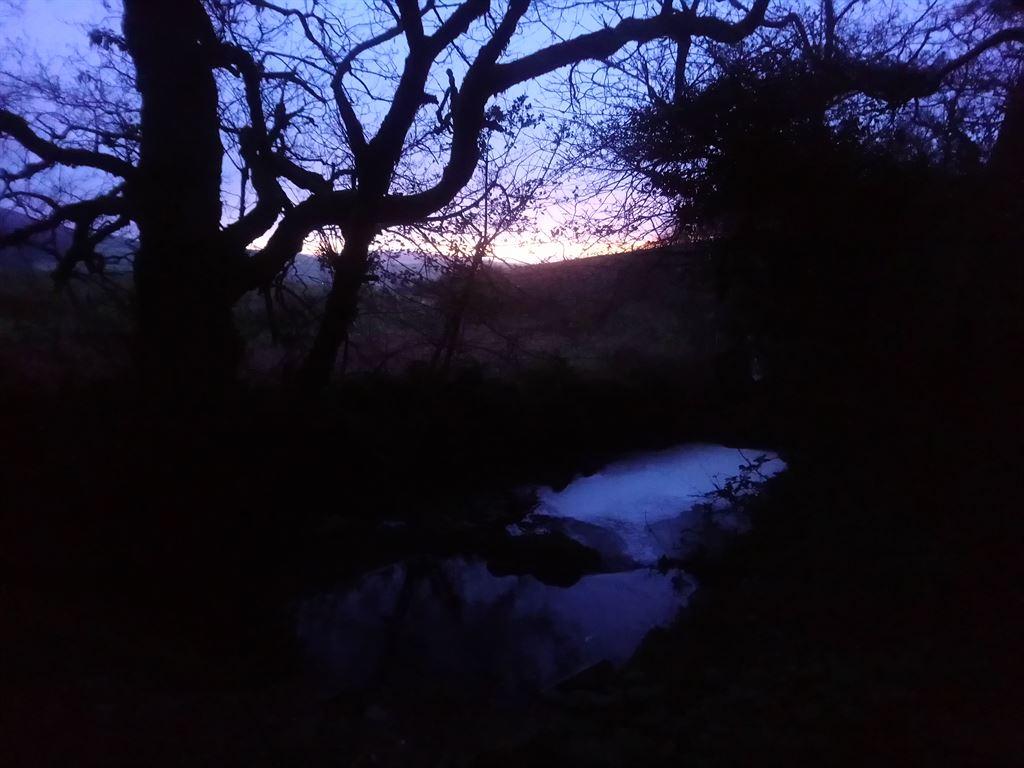 dawn