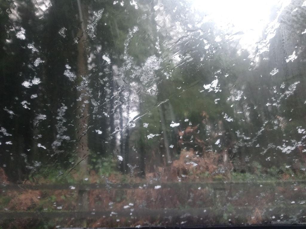 snow1