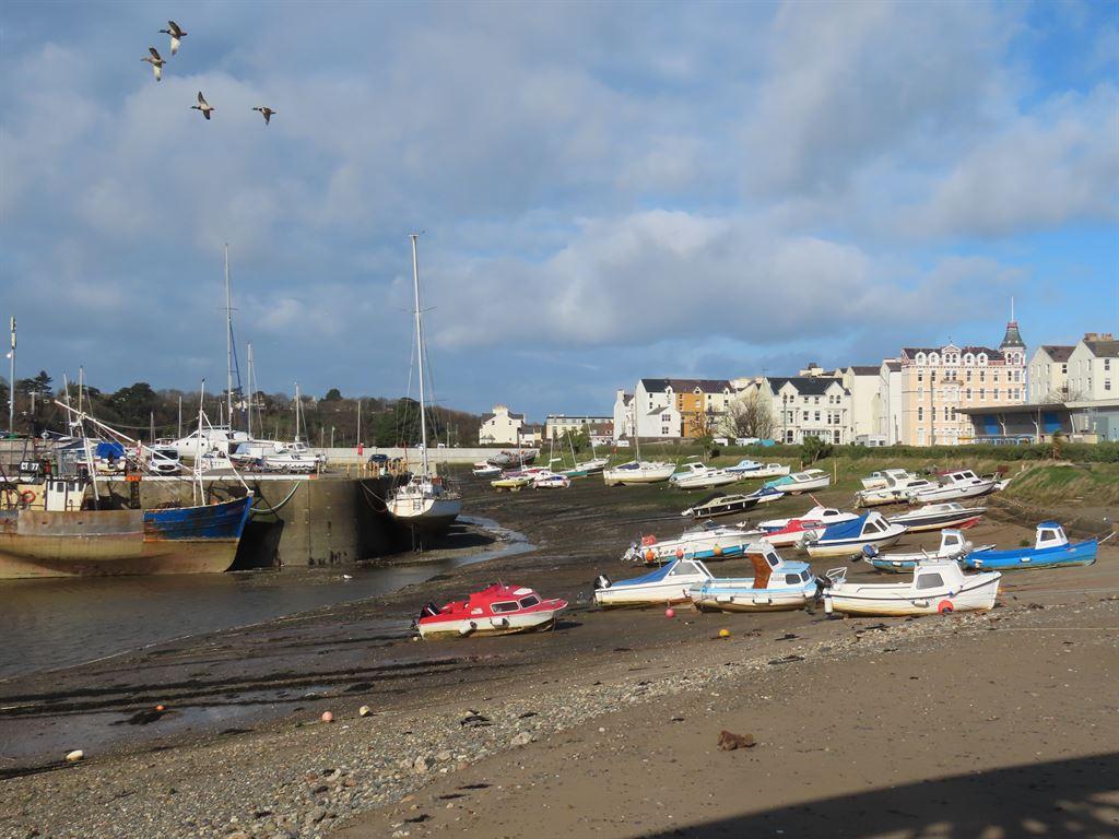 harbour2