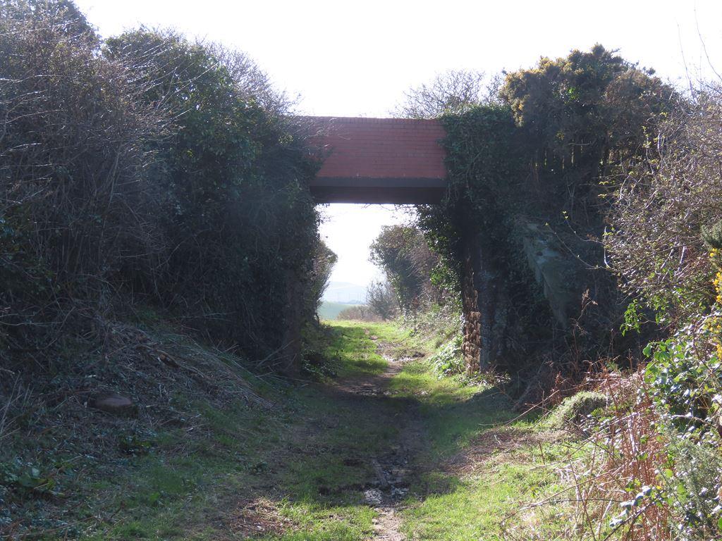 bridge