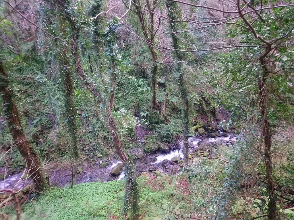 ballure