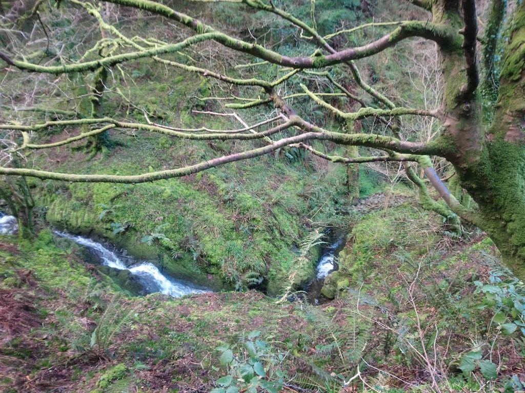 stream2