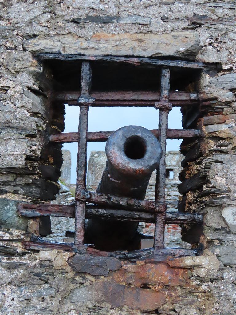 cannon