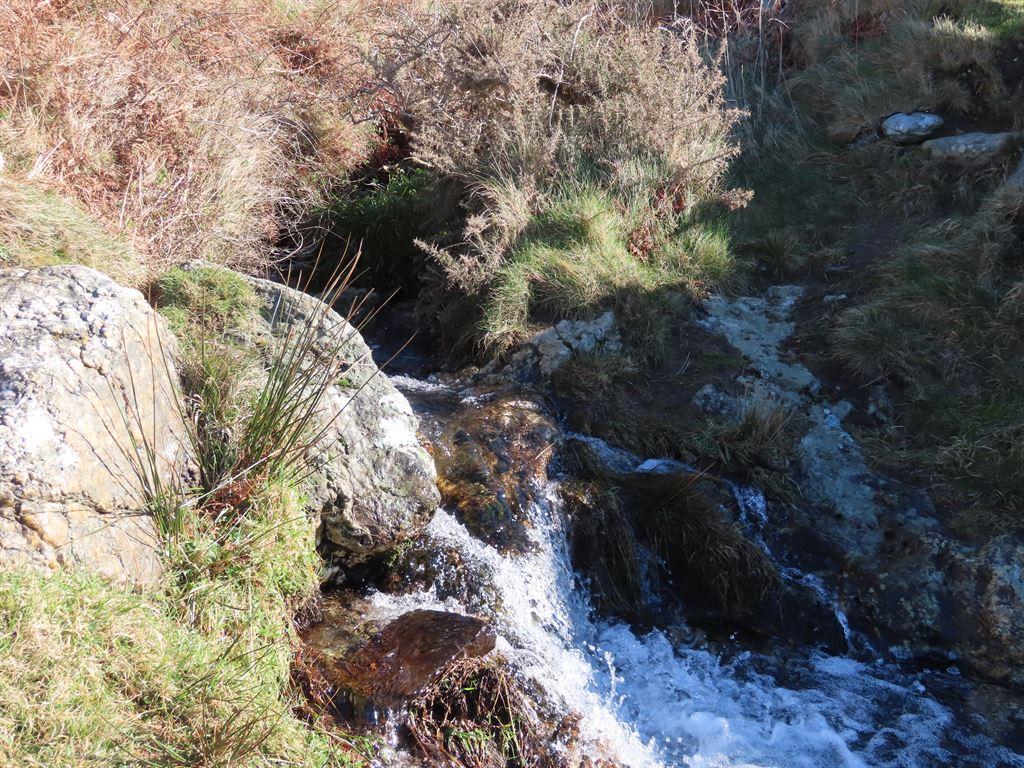 stream2