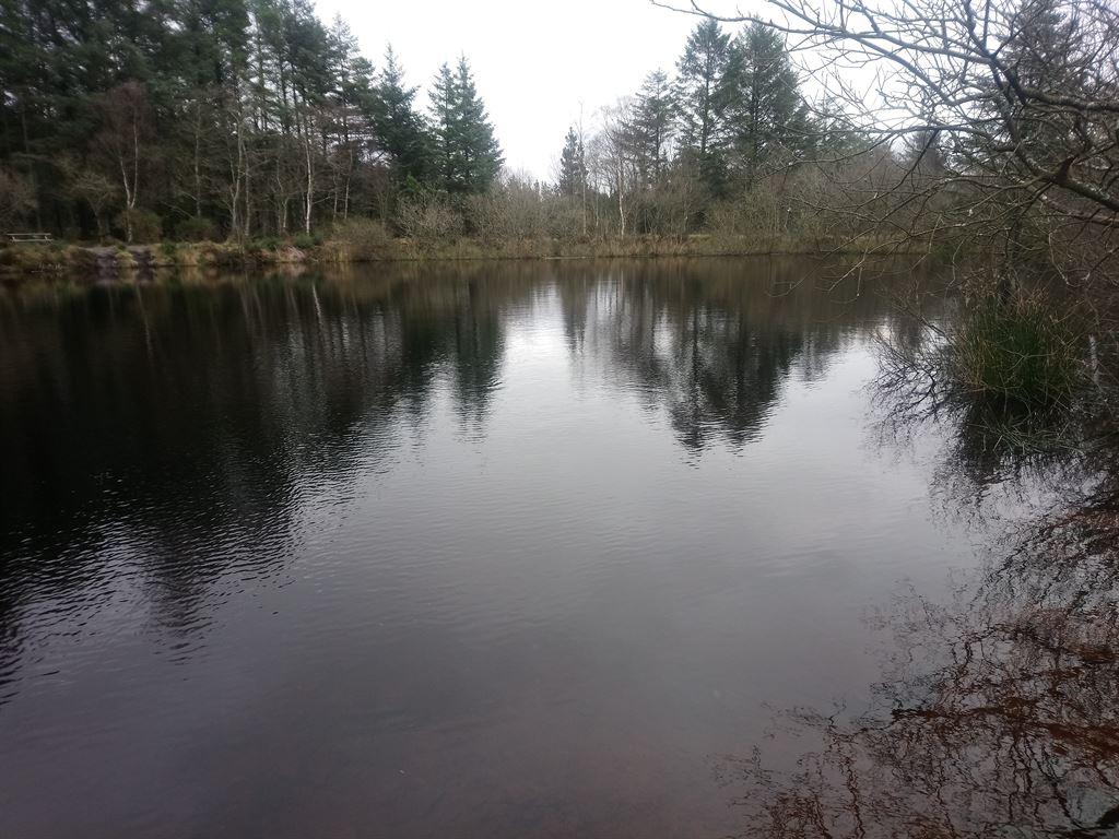 pond1
